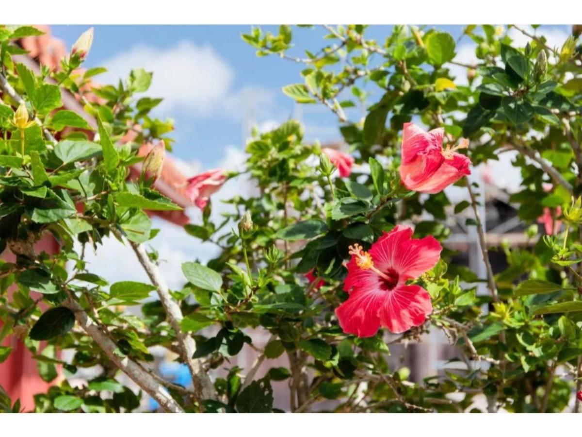 Hotel Pescatore Okinawa - Vacation Stay 20882V 那覇市 エクステリア 写真